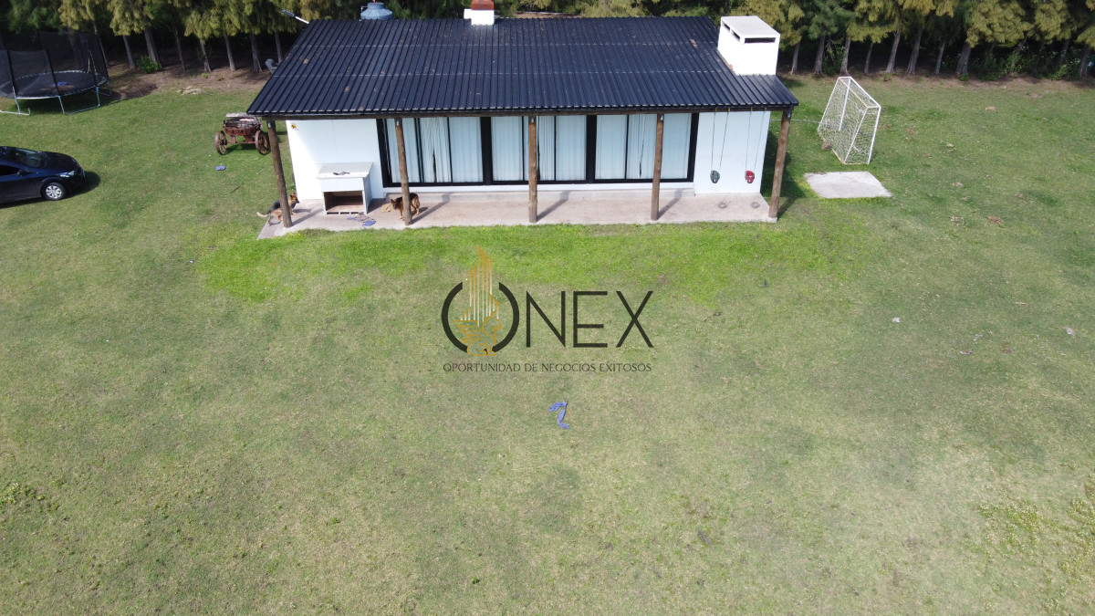 Chacra ID.1886 - CHACRA EN VENTA SOBRE RUTA 3 PAYSANDU