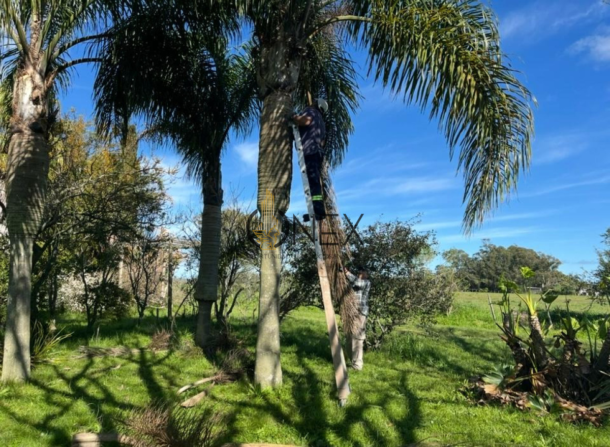 Chacra ID.3636 - Imperdible chacra 