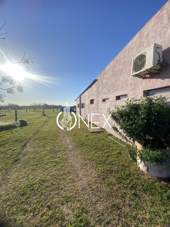 Chacra ID.3059 - CHACRA 5 HECTAREAS EN VENTA SAN FELIX PAYSANDU