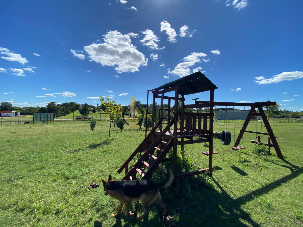 Chacra ID.1886 - CHACRA EN VENTA SOBRE RUTA 3 PAYSANDU