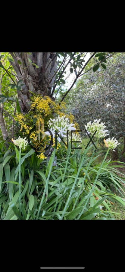 Chacra ID.3636 - Imperdible chacra 