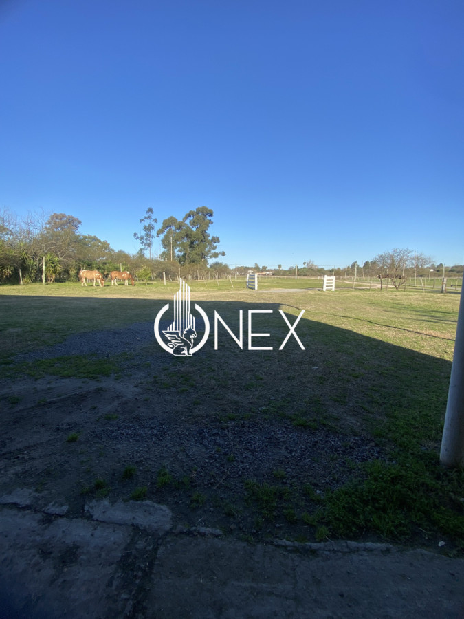 Chacra ID.3059 - CHACRA 5 HECTAREAS EN VENTA SAN FELIX PAYSANDU