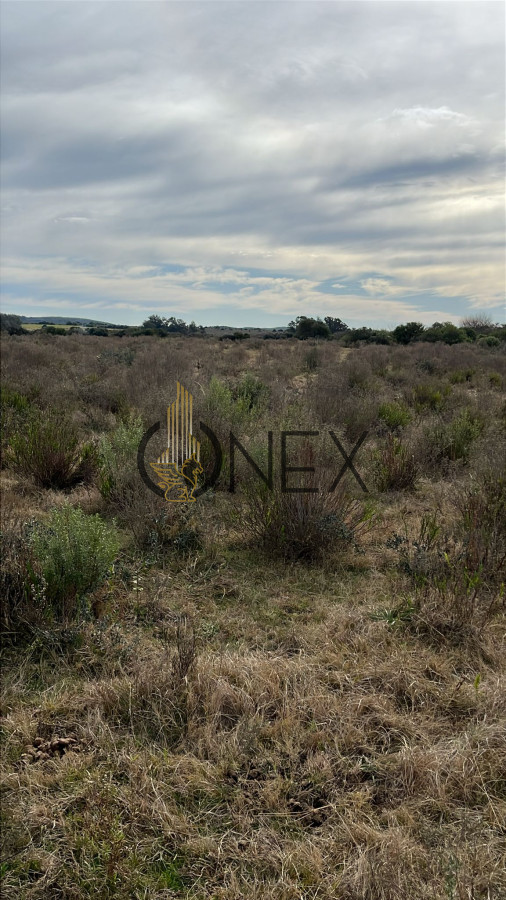 Chacra ID.2923 - 