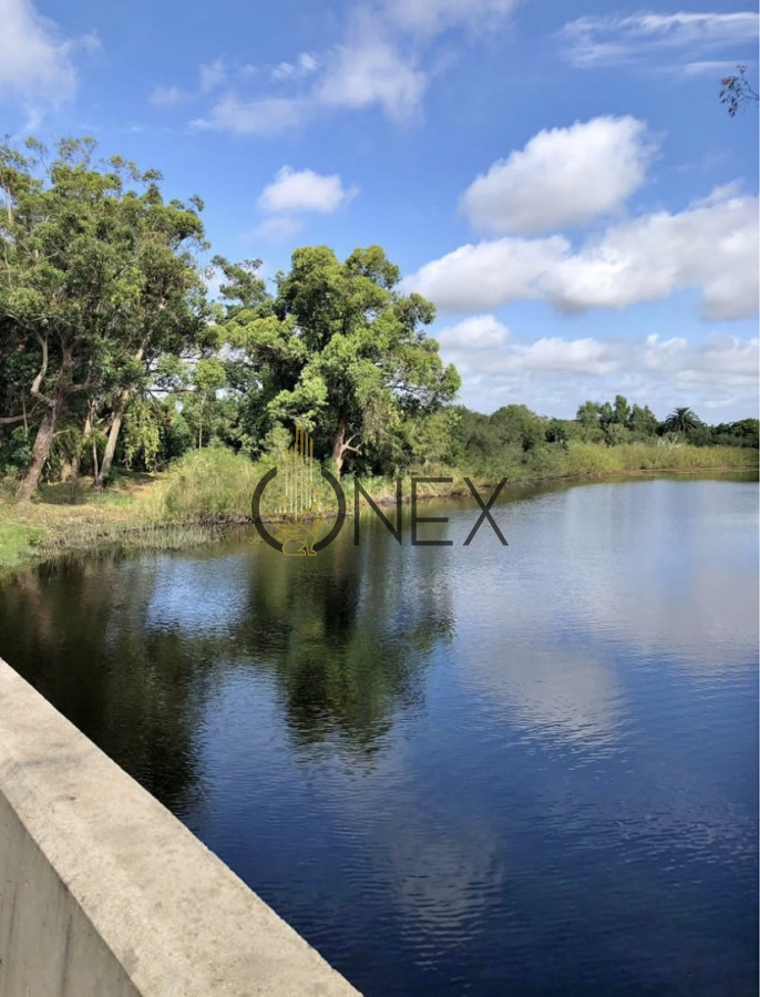 Chacra ID.3091 - 🌿 En venta: Hermosa chacra en Rocha 🌿  Se venden casi 7 hectáreas con 320 metros de costa sobre el Arroyo Las Conchas, en un entorno natural único. 