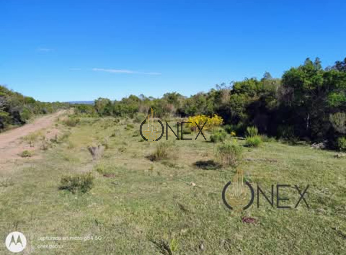 Chacra ID.1155 - Oportunidad Venta de chacra de 7.8 Hectáreas en Las Cañas Maldonado