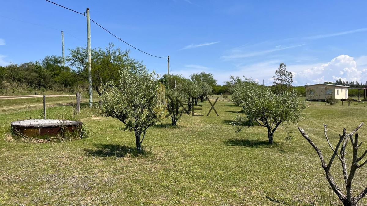 Chacra ID.2369 - Venta Chacra Fray Bentos