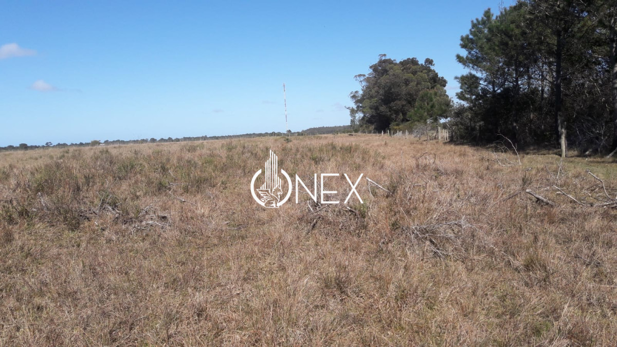 Chacra ID.4552 - Se vende Chacra en Oceanía del Polonio, Rocha. 