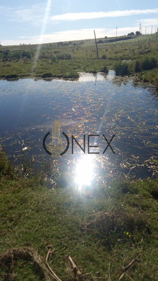 Chacra ID.2687 - Venta de Chacra 5Ha en Abra Perdomo