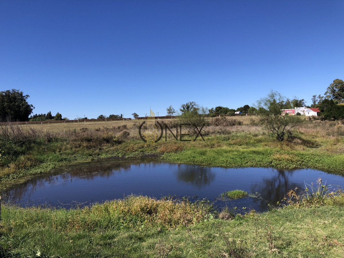Chacra ID.2140 -  Se vende Chacra de 4ha más casa, sobre ruta 107. Canelón Chico.
