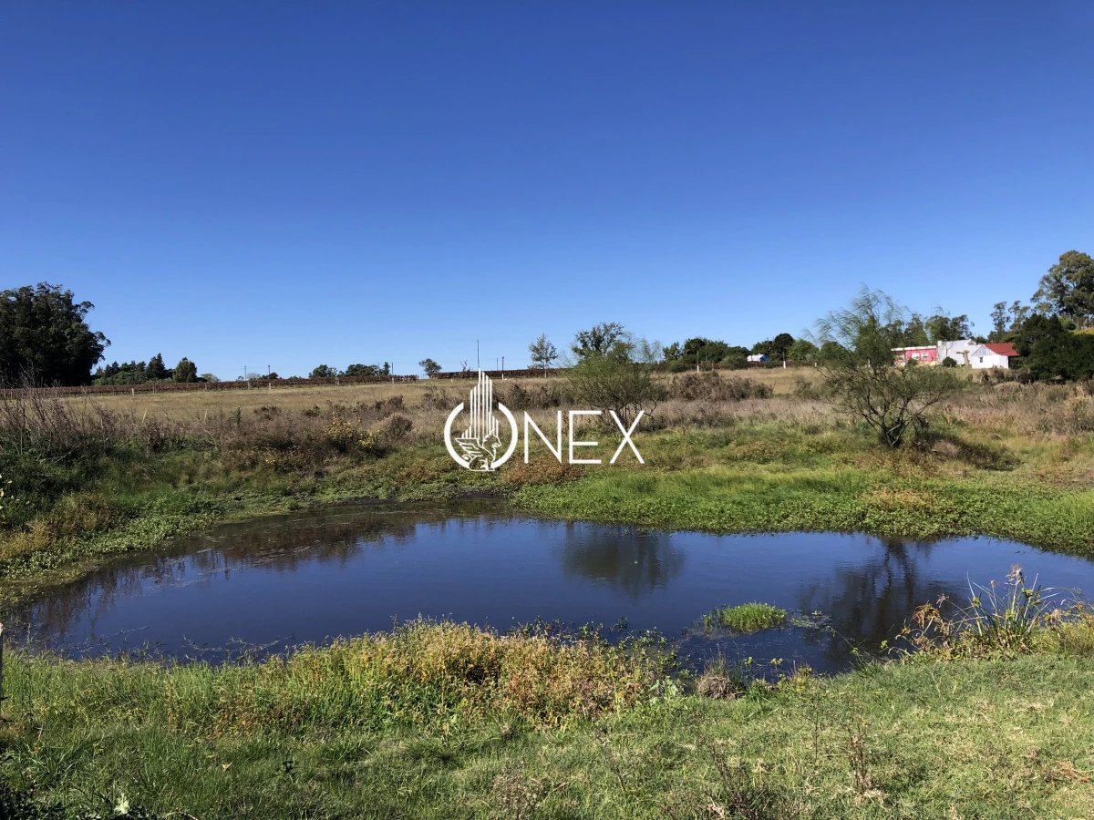 Chacra ID.2140 -  Se vende Chacra de 4ha más casa, sobre ruta 107. Canelón Chico.