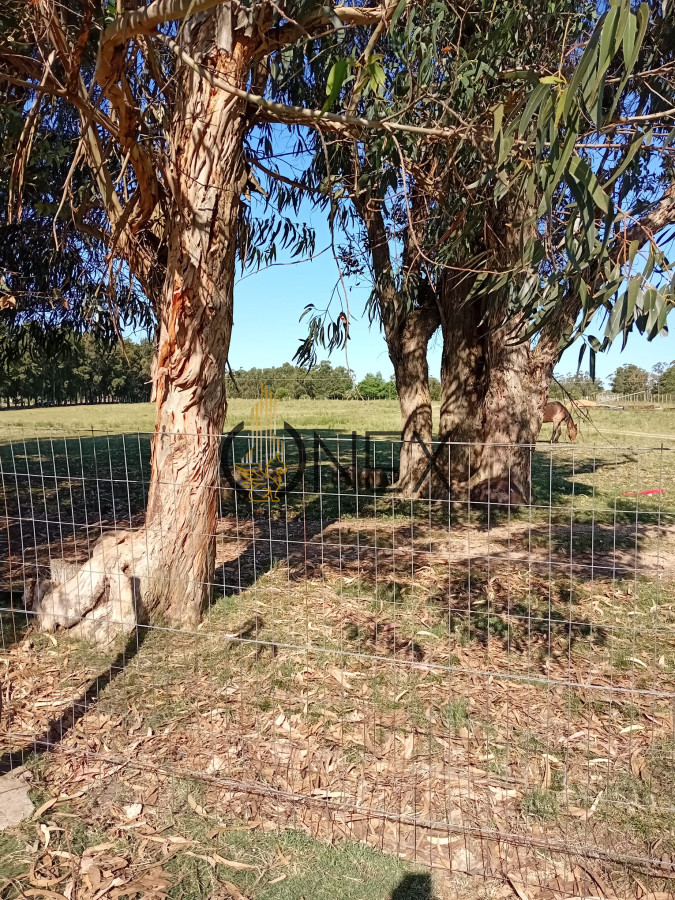 Chacra ID.3581 - Venta Chacra  8 Has con casa en San Carlos