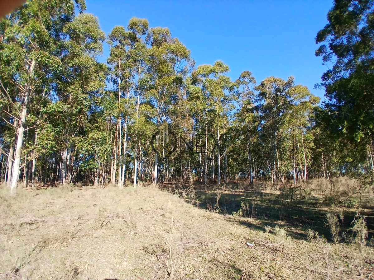 Chacra ID.2978 - Hectarea zona Guerrero Paysandu