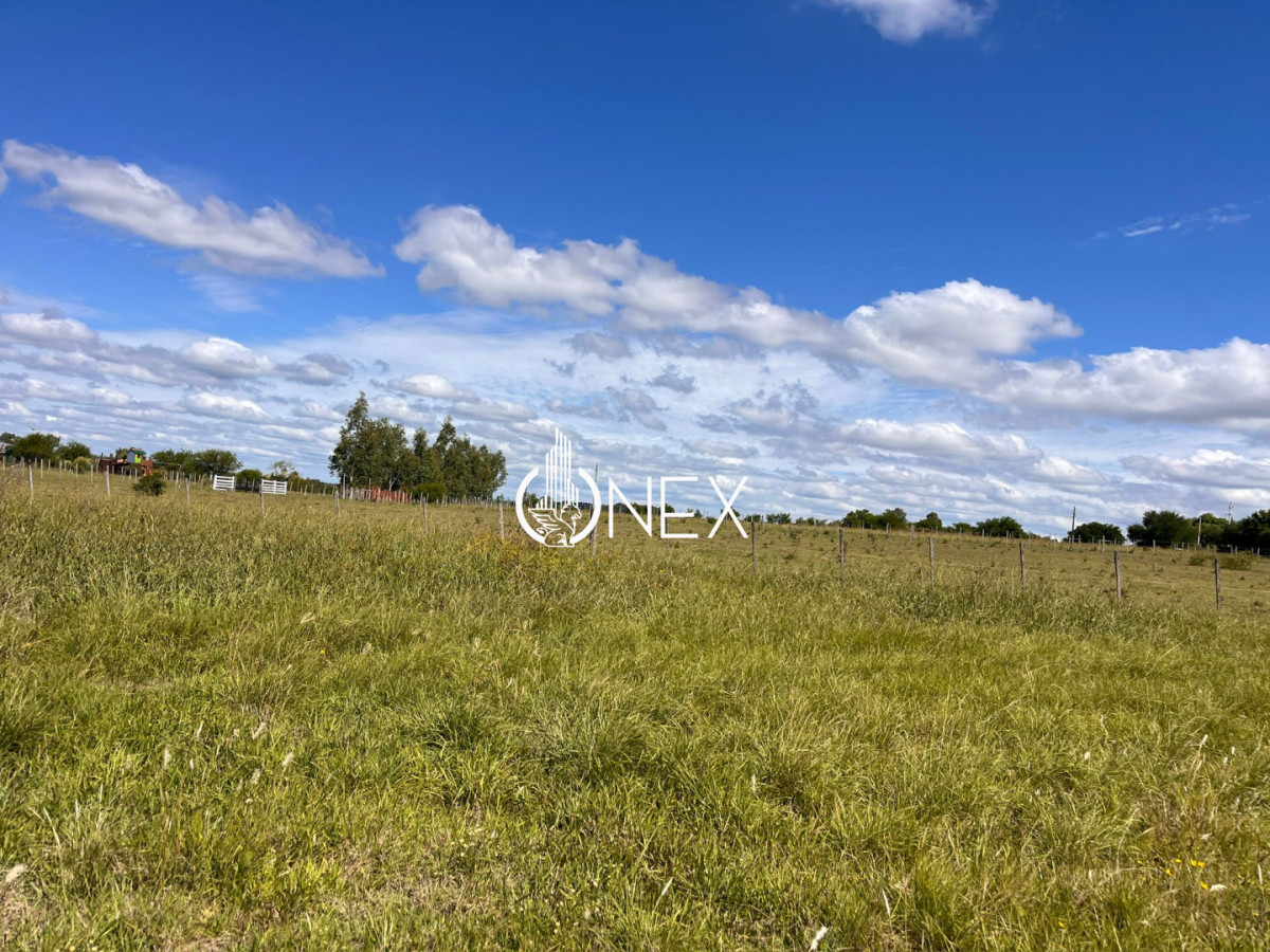 Chacra ID.4362 - 