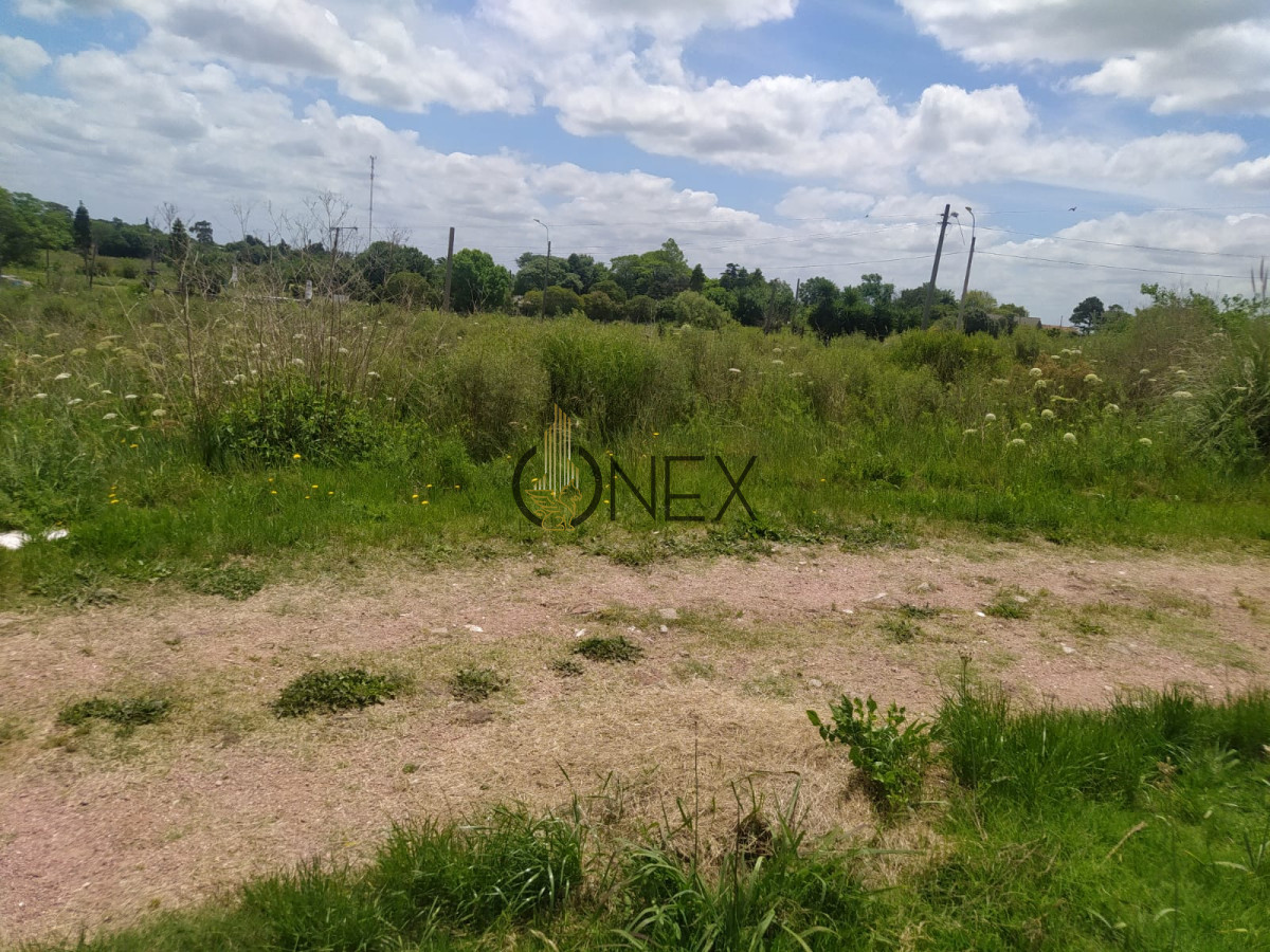 Chacra ID.1843 - se vende Chacra en Paso de la Arena, Montevideo