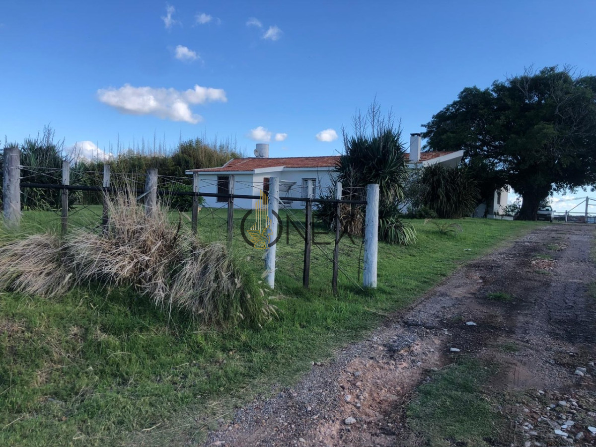 Chacra ID.1538 - CHACRA DE 5 HECTAREAS EN VENTA FRAY BENTOS 