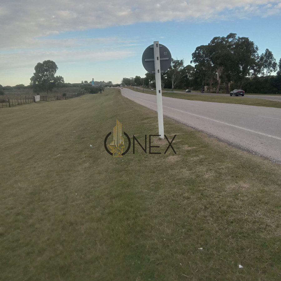 Chacra ID.3120 - Venta Chacra 3 Ha Ruta 39