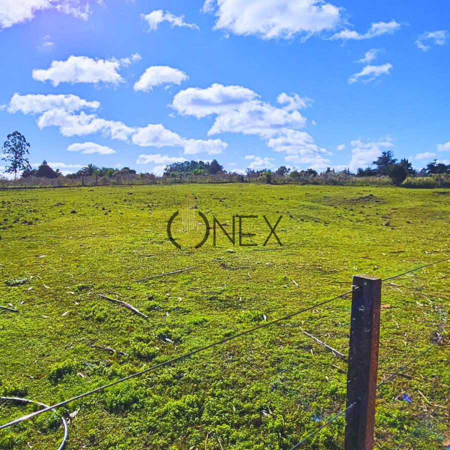 Chacra ID.2254 - VENTA DE CHACRA EN CANELON CHICO
