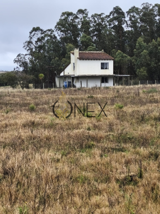 Chacra ID.3080 - Venta Chacra 3 Ha Corte de la Leña con casa 
