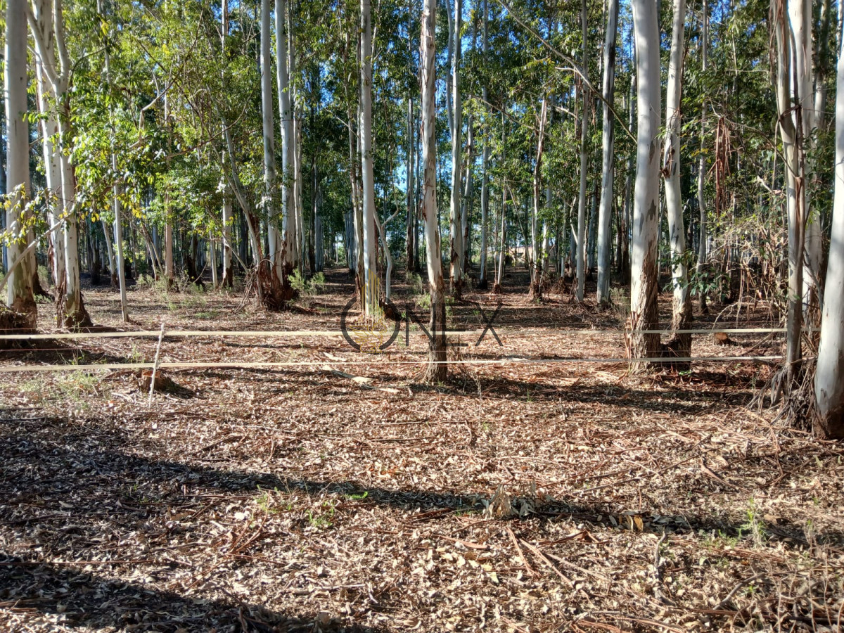 Chacra ID.2978 - Hectarea zona Guerrero Paysandu