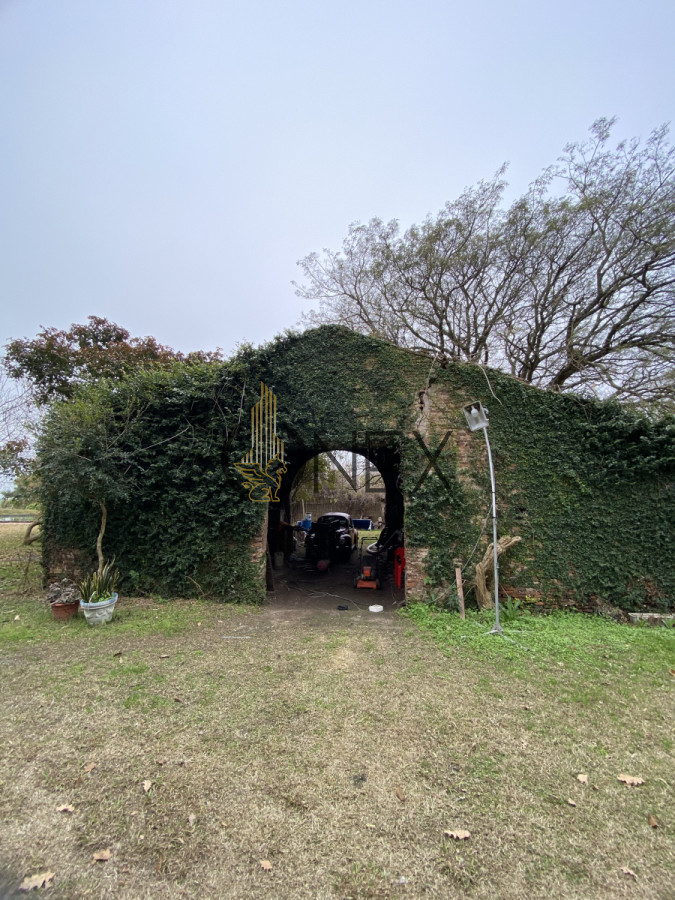 Chacra ID.2715 - CHACRA EN VENTA SOBRE RUTA 90 PAYSANDU