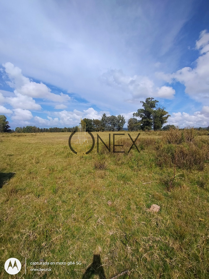 Chacra ID.790 - Venta de Chacra 7 hectáreas con casa en Maldonado