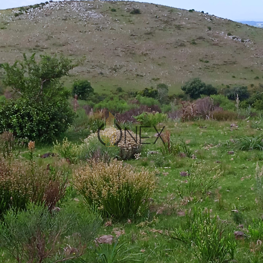 Chacra ID.2851 - Chacra Garzón de Rocha, Cerro Áspero