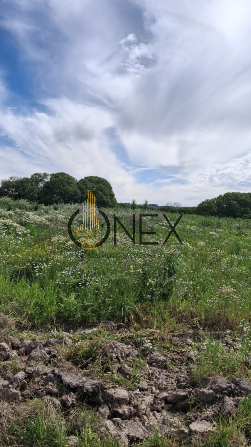 Chacra ID.3385 - Venta chacra 4 hás y ½ entre R 102 y 101