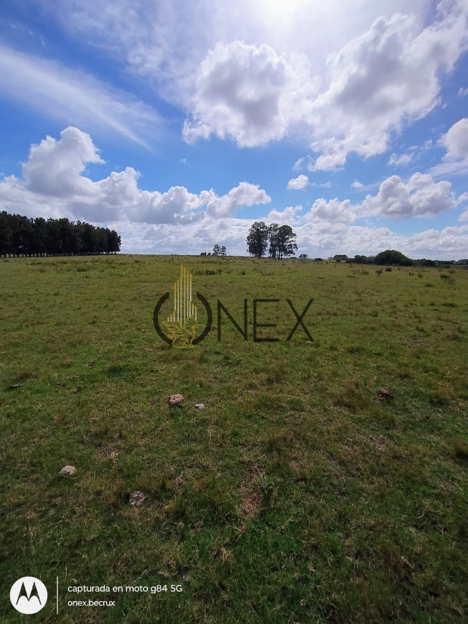Chacra ID.790 - Venta de Chacra 7 hectáreas con casa en Maldonado