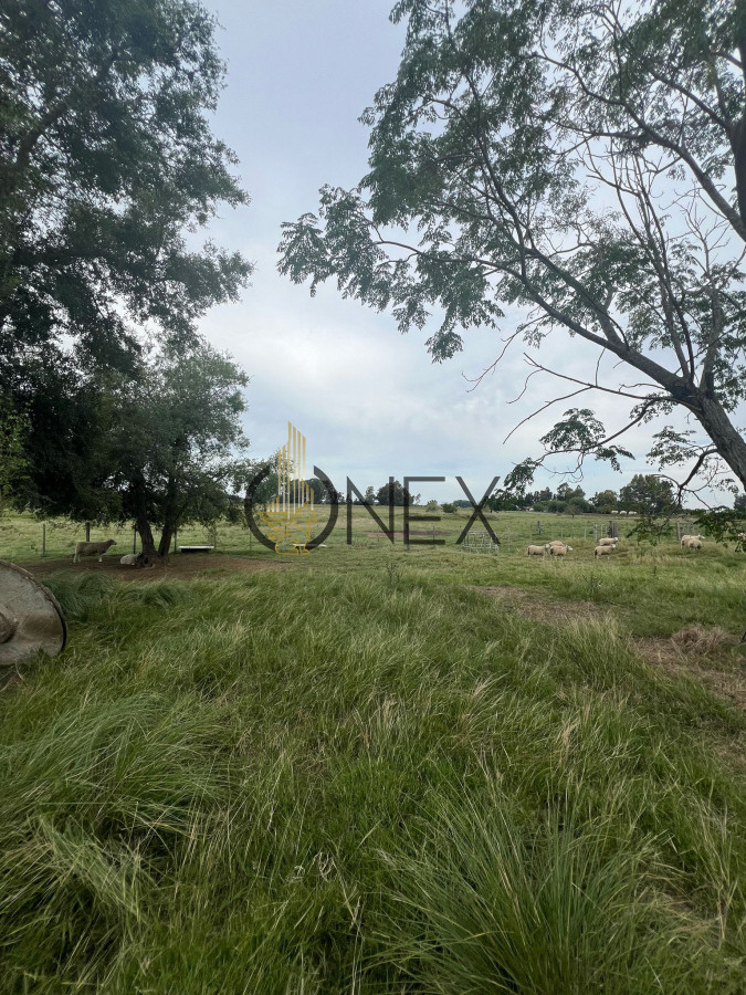 Chacra ID.886 - CAMPO DE 18 HAS EN VENTA 100% EXPLOTABLE 