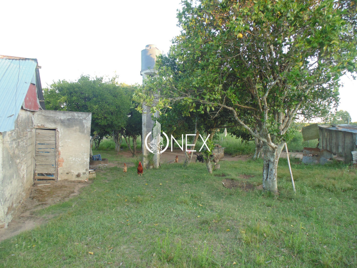 Chacra ID.4174 - Chacra en venta en Caraguatá
