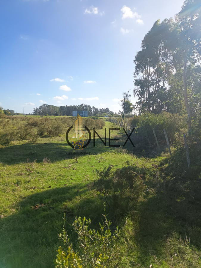 Chacra ID.4292 - Se vende chacra en Rocha.