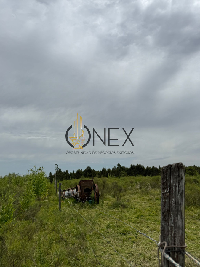 Chacra ID.3592 - Chacra en Salinas, Canelones. 