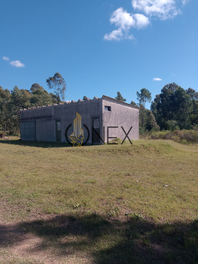 Chacra ID.4268 - ONEX VENDE CHACRA DE 3 HEC Y MEDIAS