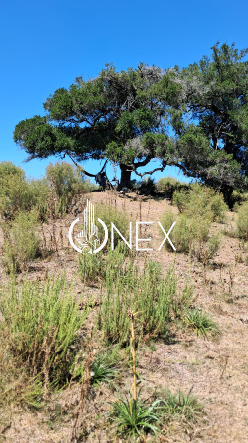 Chacra ID.4550 - SE VENDE CHACRA DE 5 HA EN LAVALLEJA