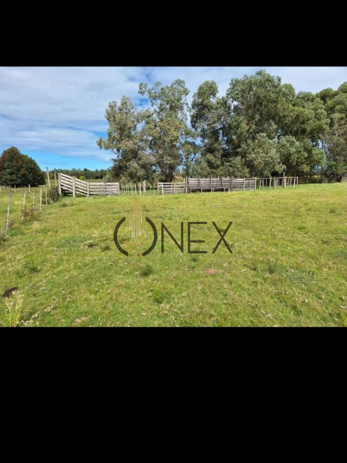 Chacra ID.2493 - Venta de Chacra de 8 Ha con casa 