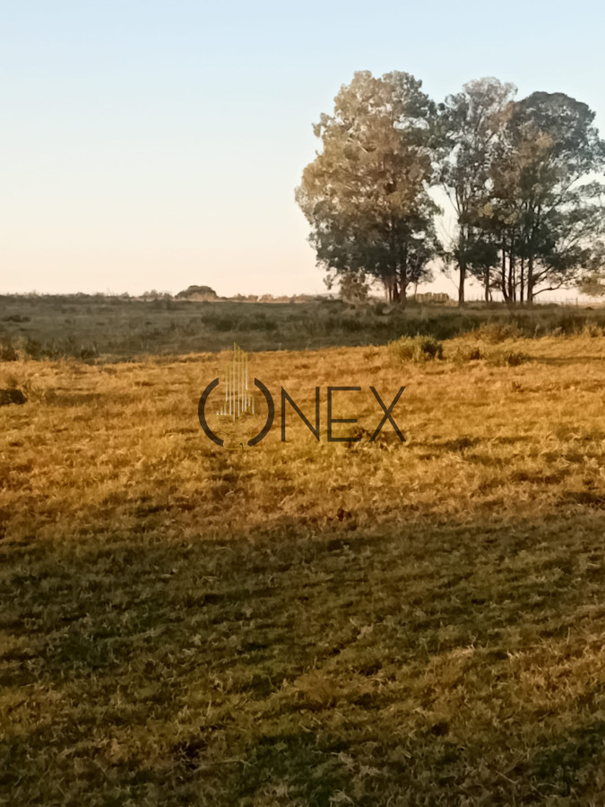 Chacra ID.2593 - Venta de Chacra de 7 Ha en Zanja de Chavez, Maldonado