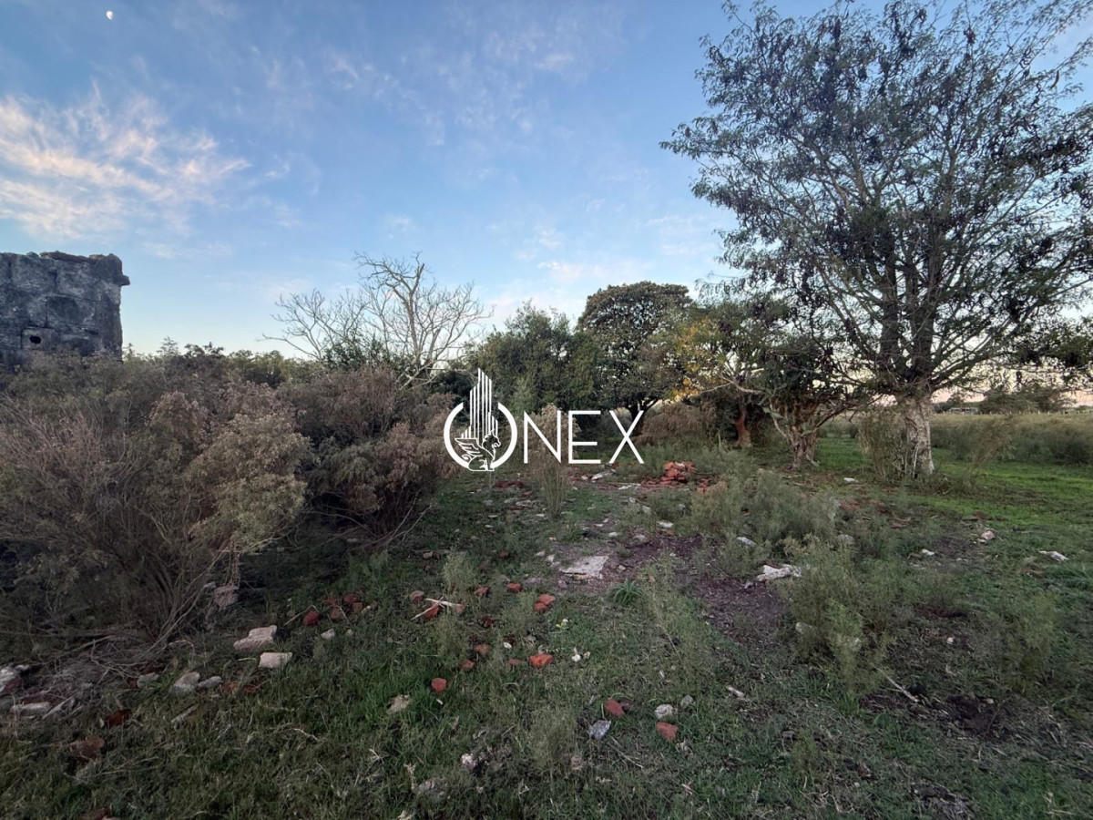 Chacra ID.4497 - Se vende chacra en Sarandí de la china en Durazno 