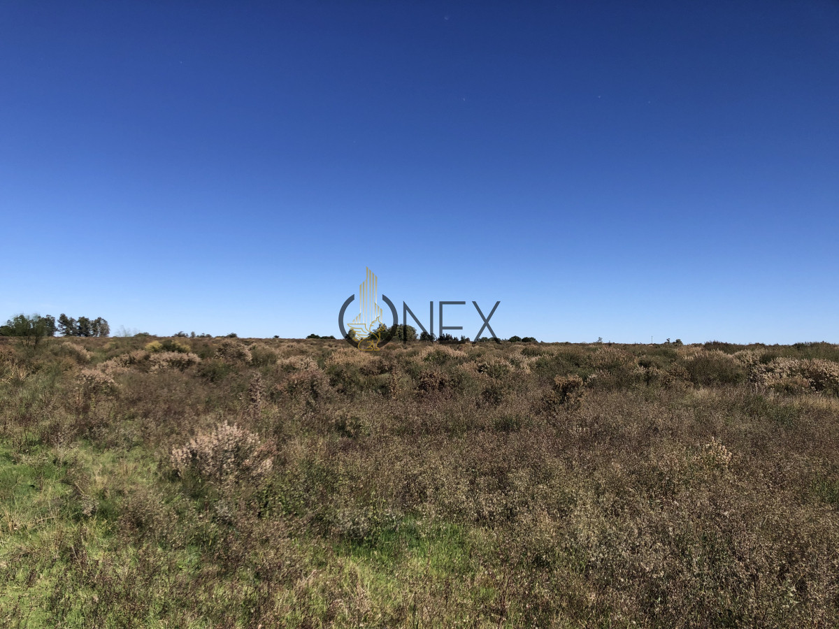 Chacra ID.2140 -  Se vende Chacra de 4ha más casa, sobre ruta 107. Canelón Chico.