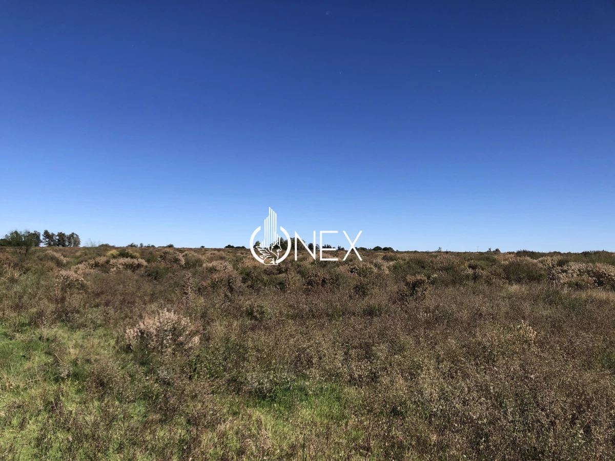 Chacra ID.2140 -  Se vende Chacra de 4ha más casa, sobre ruta 107. Canelón Chico.
