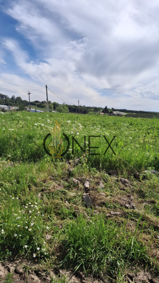 Chacra ID.3385 - Venta chacra 4 hás y ½ entre R 102 y 101