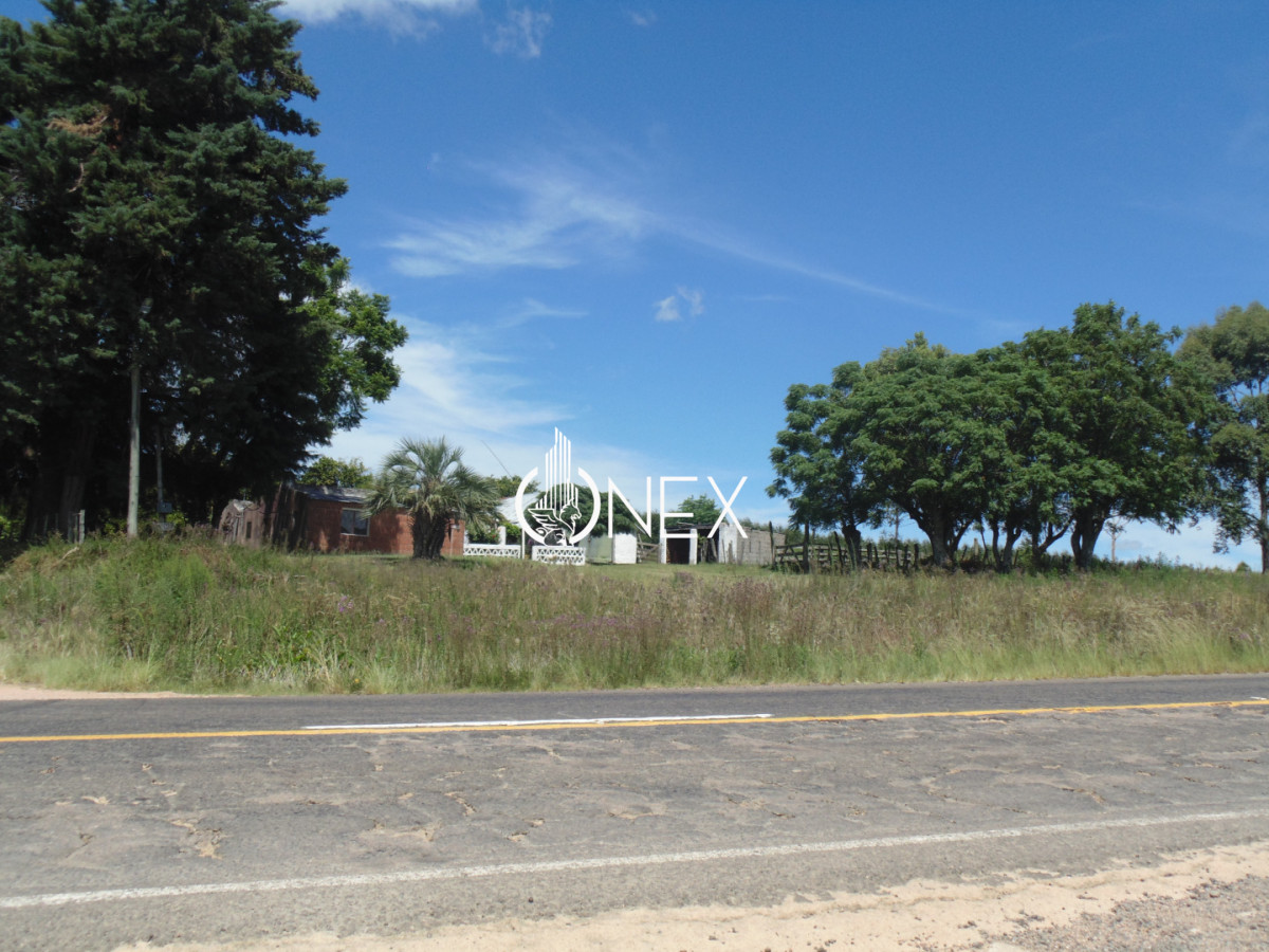 Chacra ID.4174 - Chacra en venta en Caraguatá
