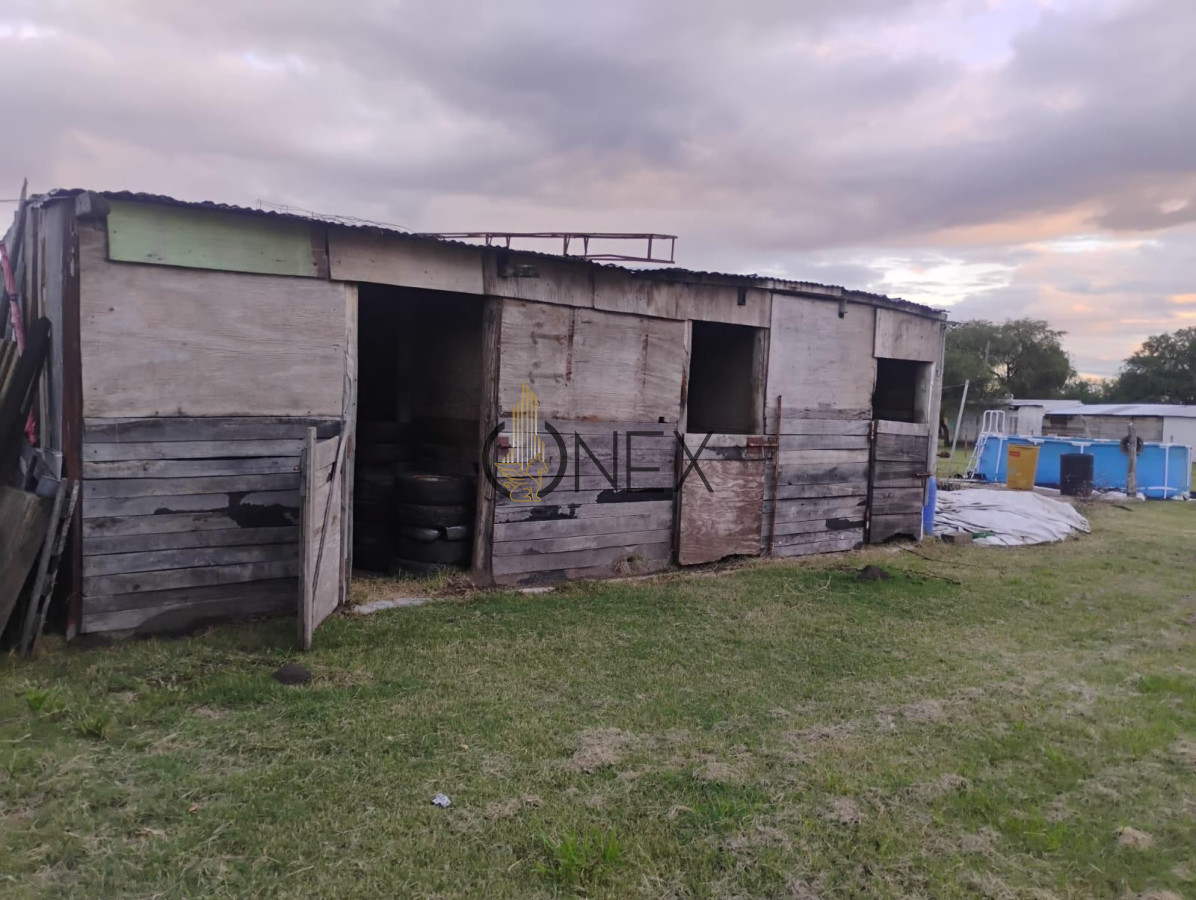 Chacra ID.3059 - CHACRA 5 HECTAREAS EN VENTA SAN FELIX PAYSANDU