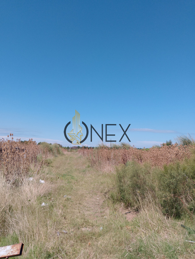 Chacra ID.4047 - ONEX VENDE CHACRA 7 HEC 