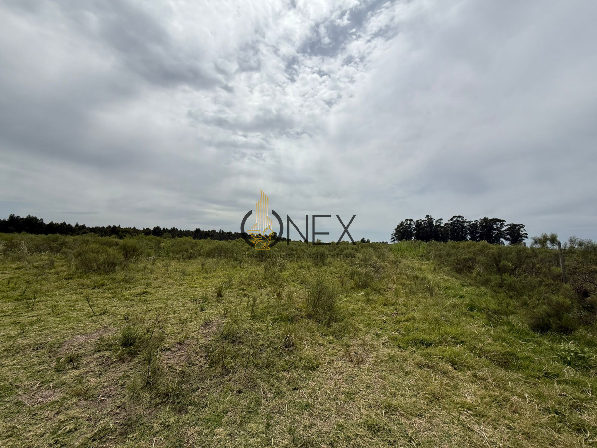 Chacra ID.3592 - Chacra en Salinas, Canelones. 