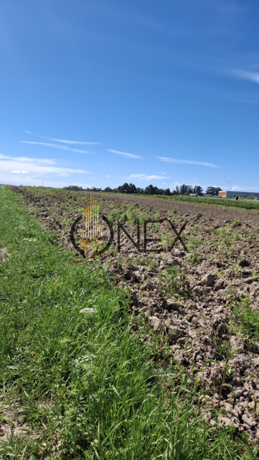 Chacra ID.3385 - Venta chacra 4 hás y ½ entre R 102 y 101