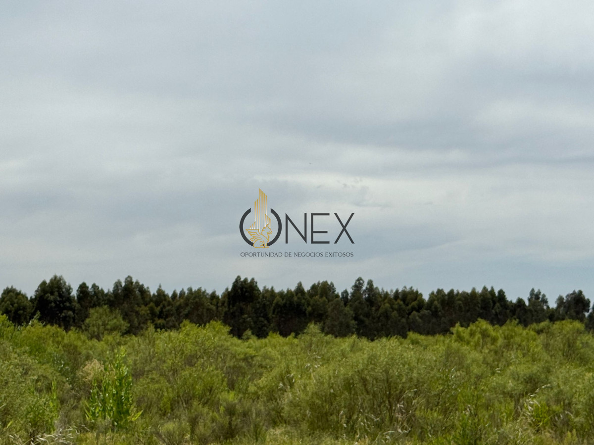 Chacra ID.3592 - Chacra en Salinas, Canelones. 