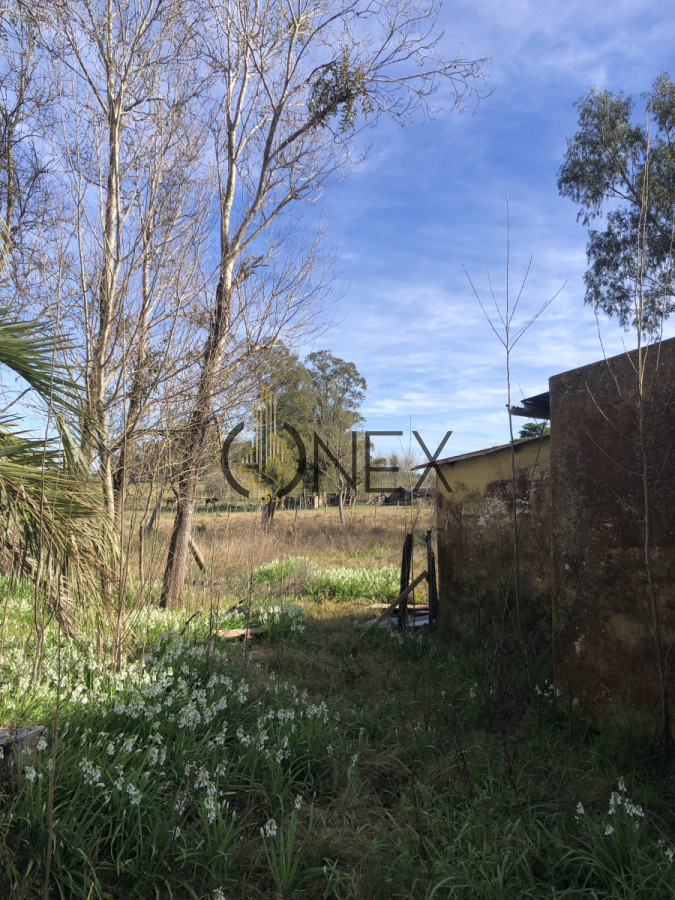 Chacra ID.3144 - Se vende chacra de 2 hectáreas sobre Ruta 15 , Rocha. 