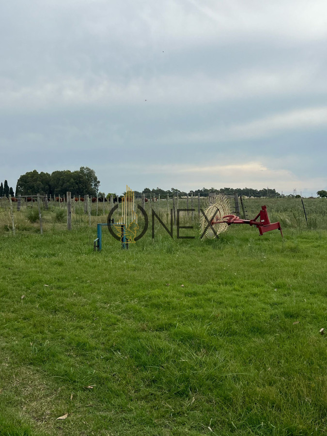 Chacra ID.886 - CAMPO DE 18 HAS EN VENTA 100% EXPLOTABLE 