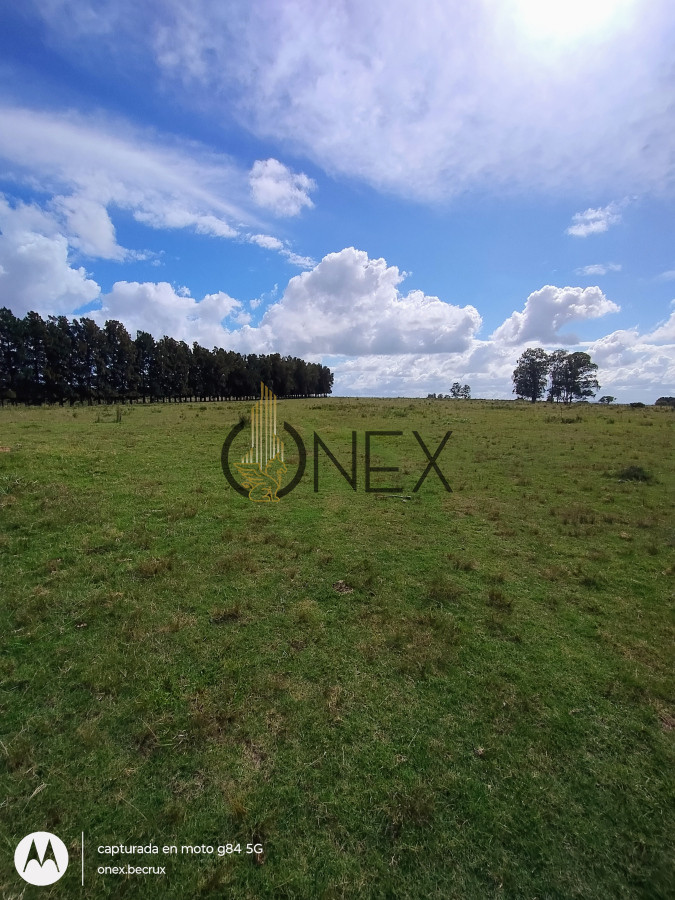 Chacra ID.790 - Venta de Chacra 7 hectáreas con casa en Maldonado