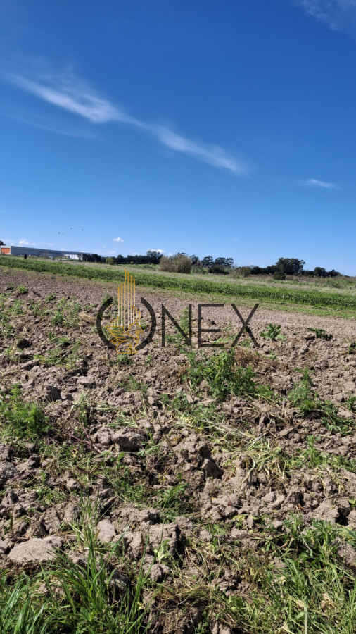 Chacra ID.3385 - Venta chacra 4 hás y ½ entre R 102 y 101